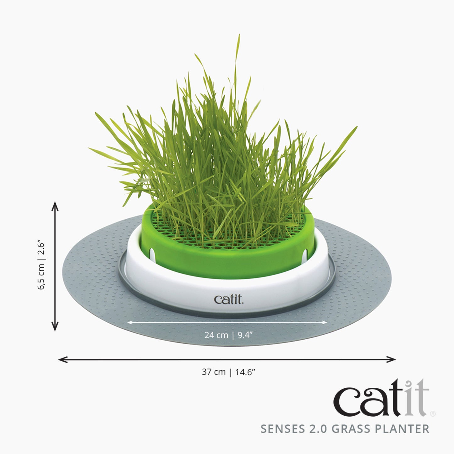 Senses Grass Planter