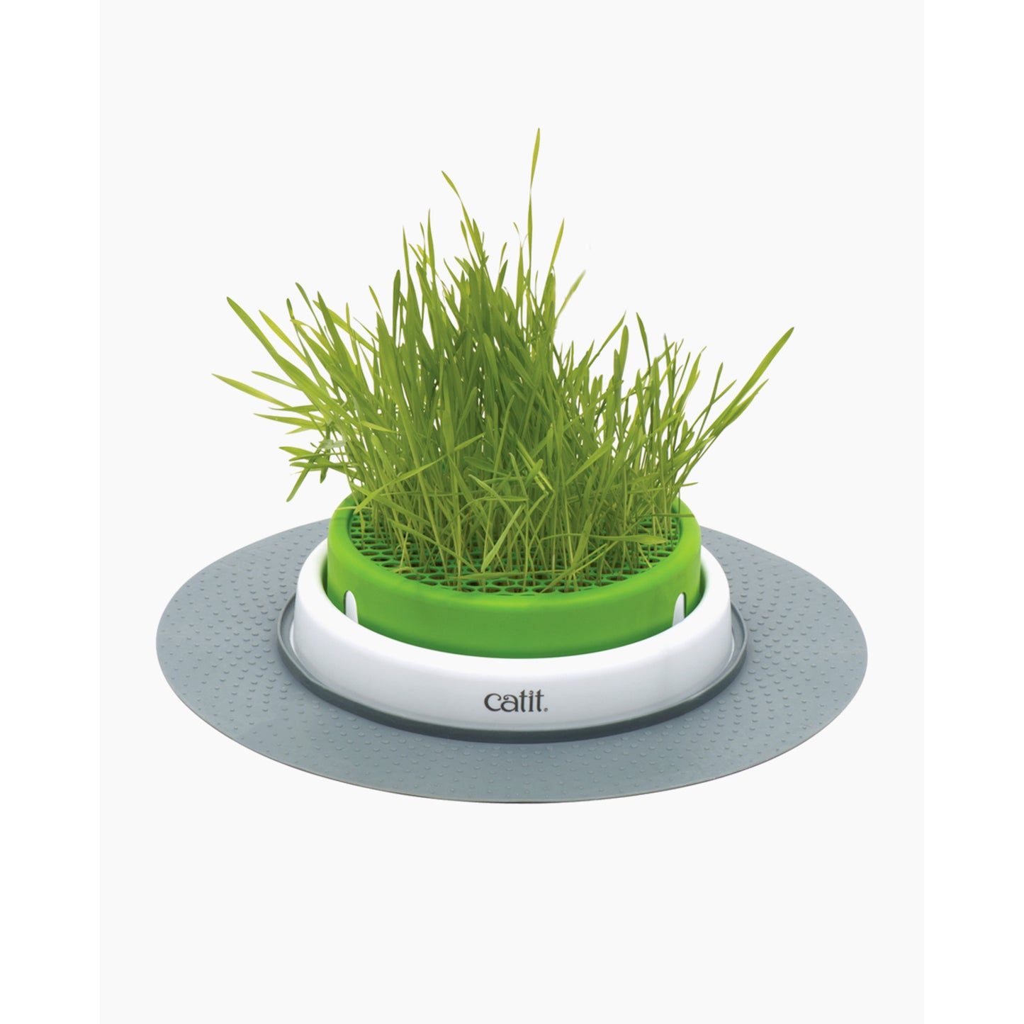 Senses Grass Planter