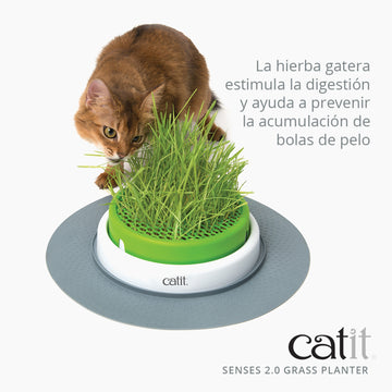 Senses Grass Planter