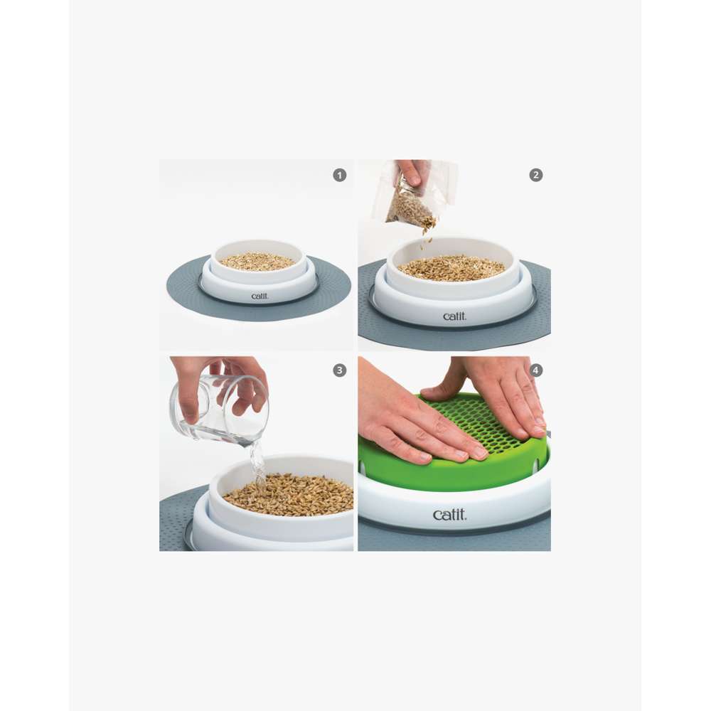 Senses Cat Grass Kit