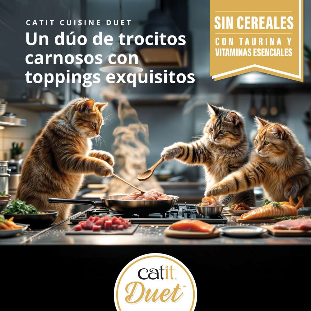 Dúo de carne con toppings para gatos Catit Cuisine Duet - Pack variado de 12