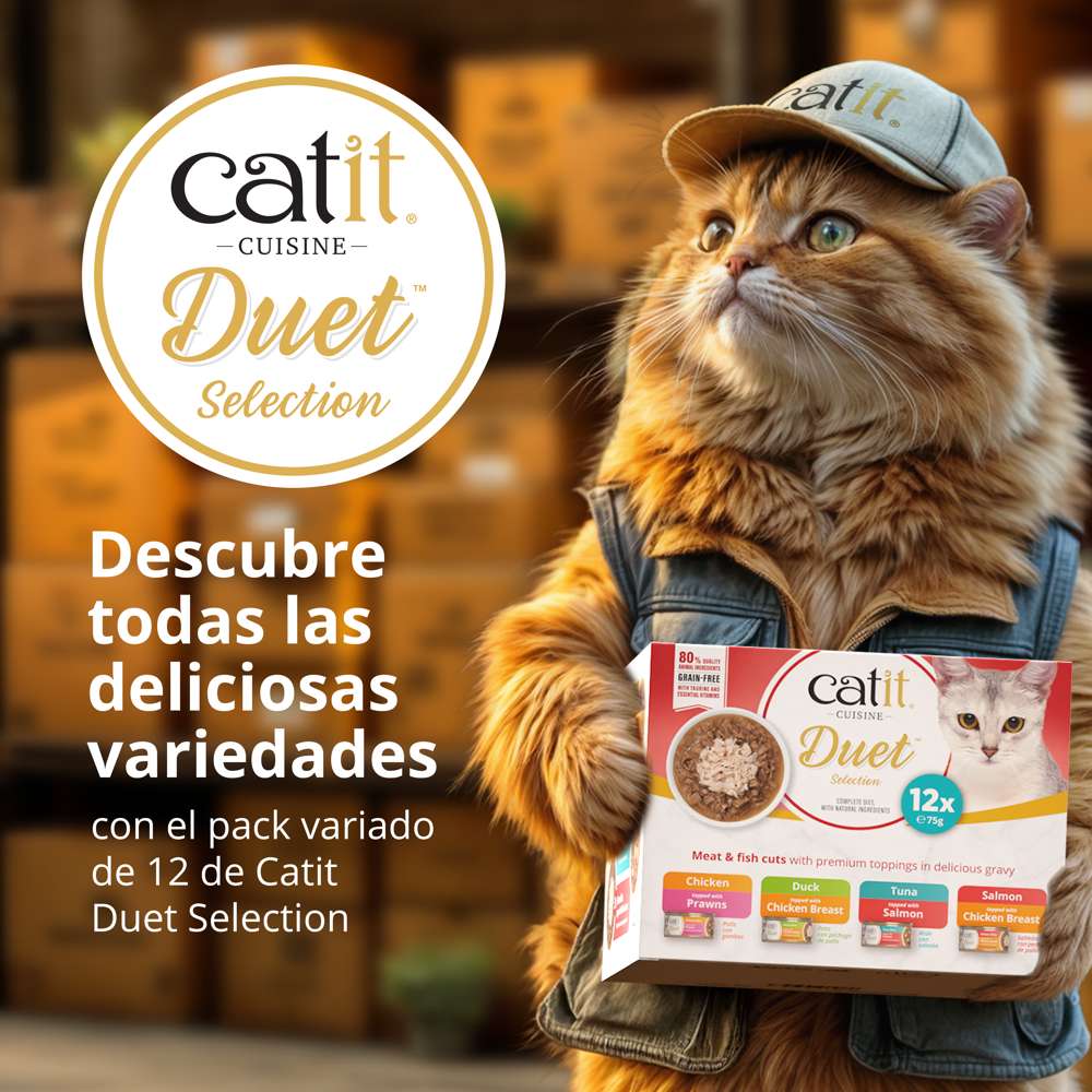 Dúo de carne con toppings para gatos Catit Cuisine Duet - Pack variado de 12