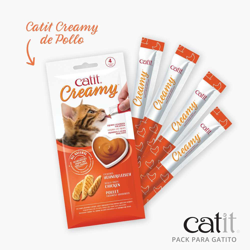 Pack para Gatitos Junior Catit
