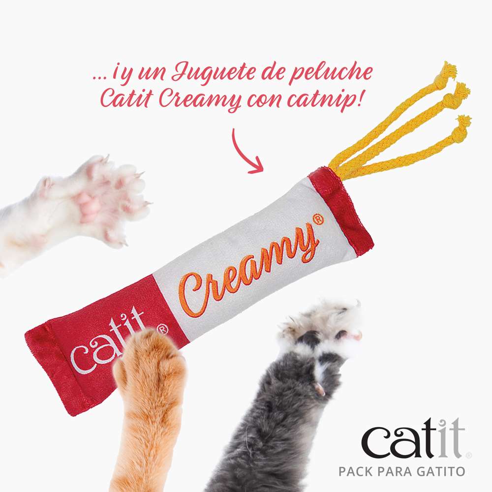 Pack para Gatitos Junior Catit