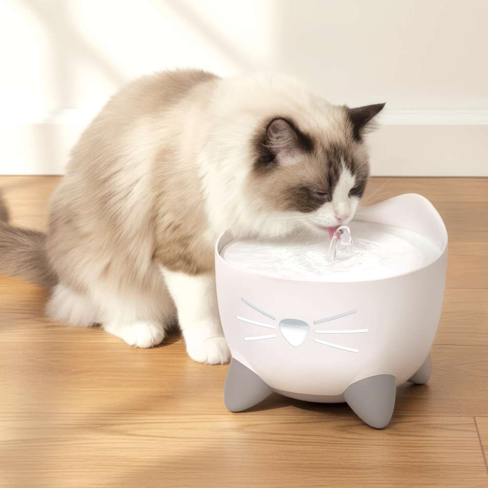 Fuentes para Gatos y Accesorios para Fuentes