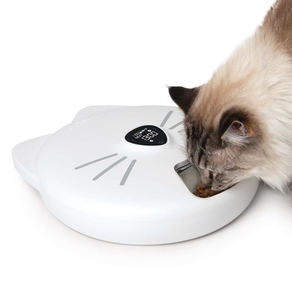 Comederos y Platos para Gatos