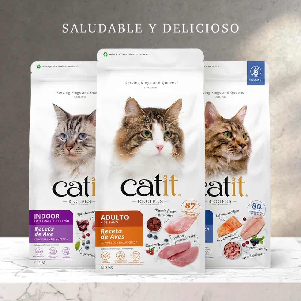 Pienso para Gatos