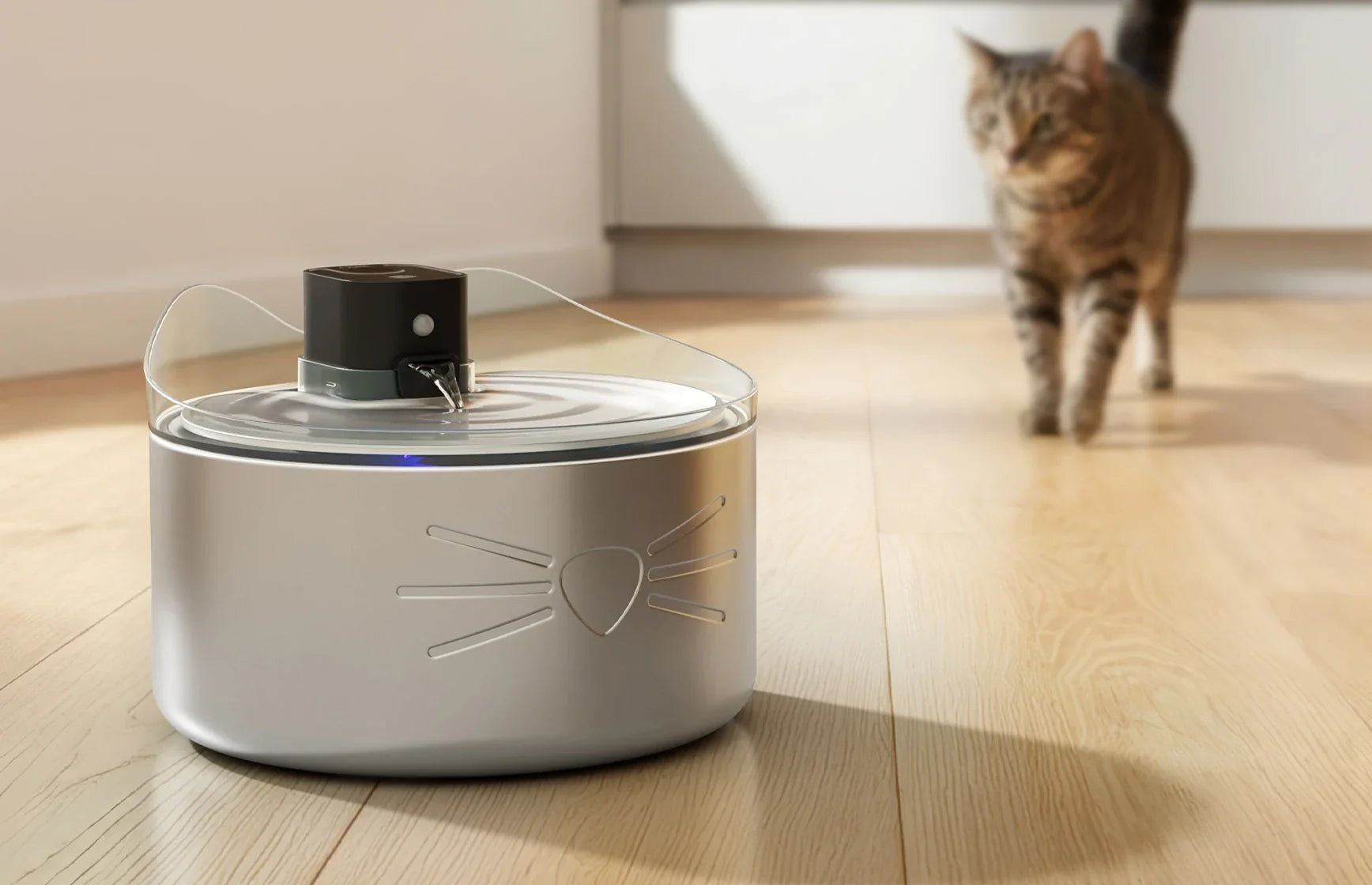 Fuentes para Gatos y Accesorios para Fuentes