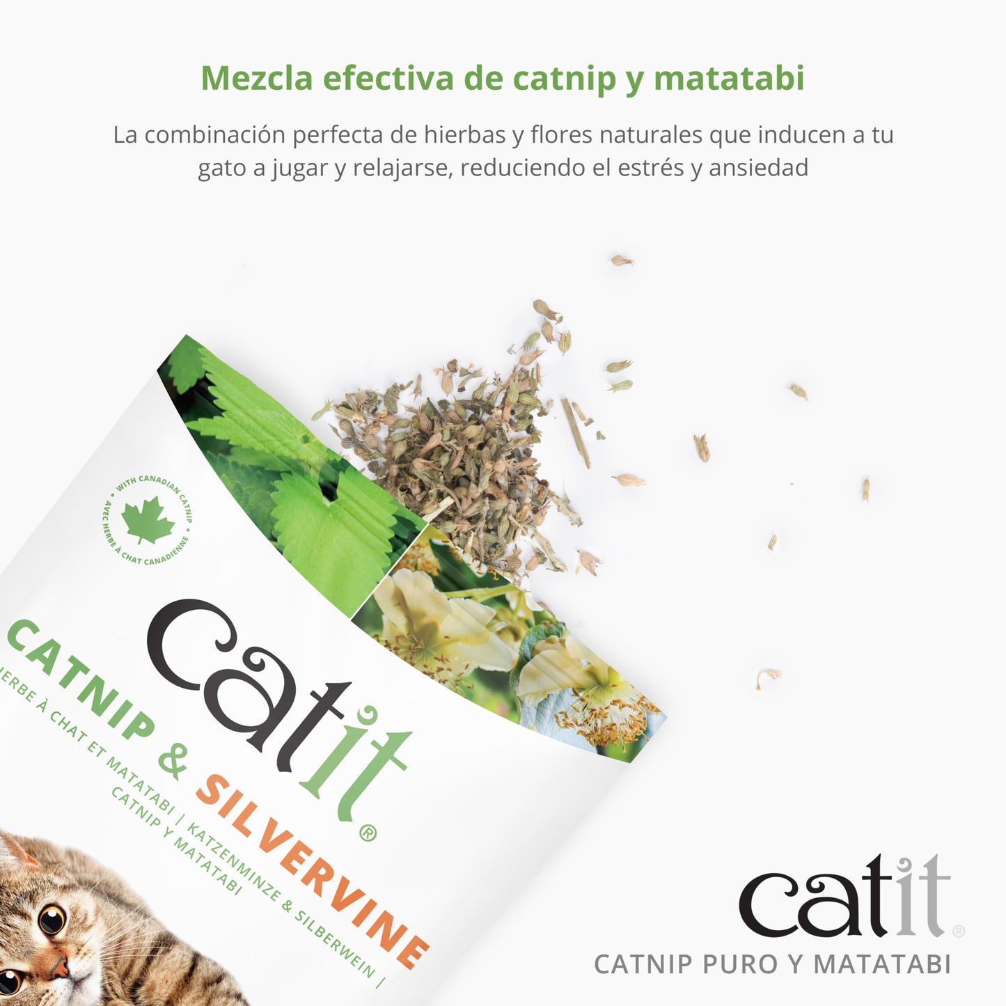 Mezcla de Catnip y Matatabi Catit