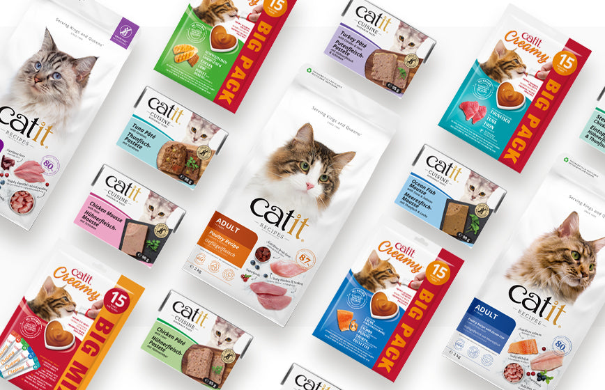 Catit ES - La tienda oficial de Catit: tus gatos merecen calidad ...