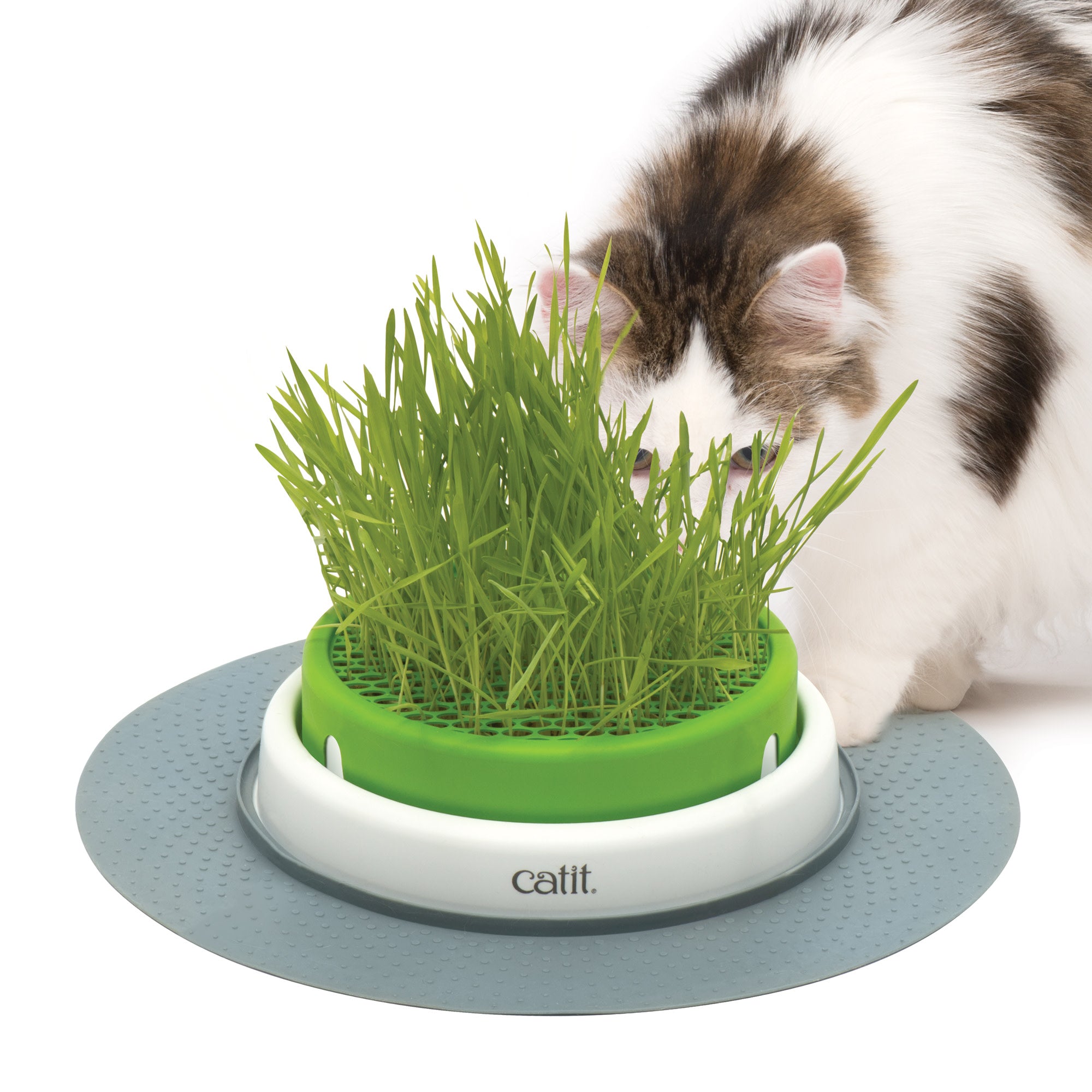 Catiit Senses 2.0 Kit d'herbe de chat 3 UDS Recharge