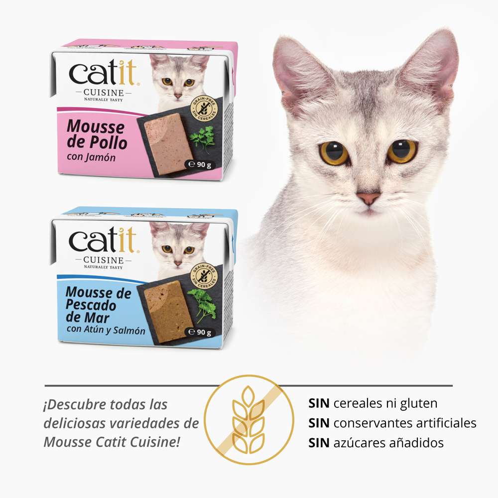 Mousse para gatos Catit Cuisine
