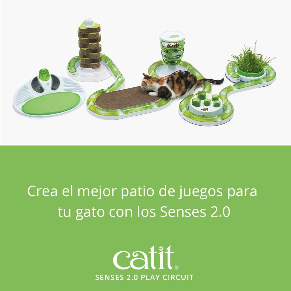 Circuitos con Pelota Catit Senses