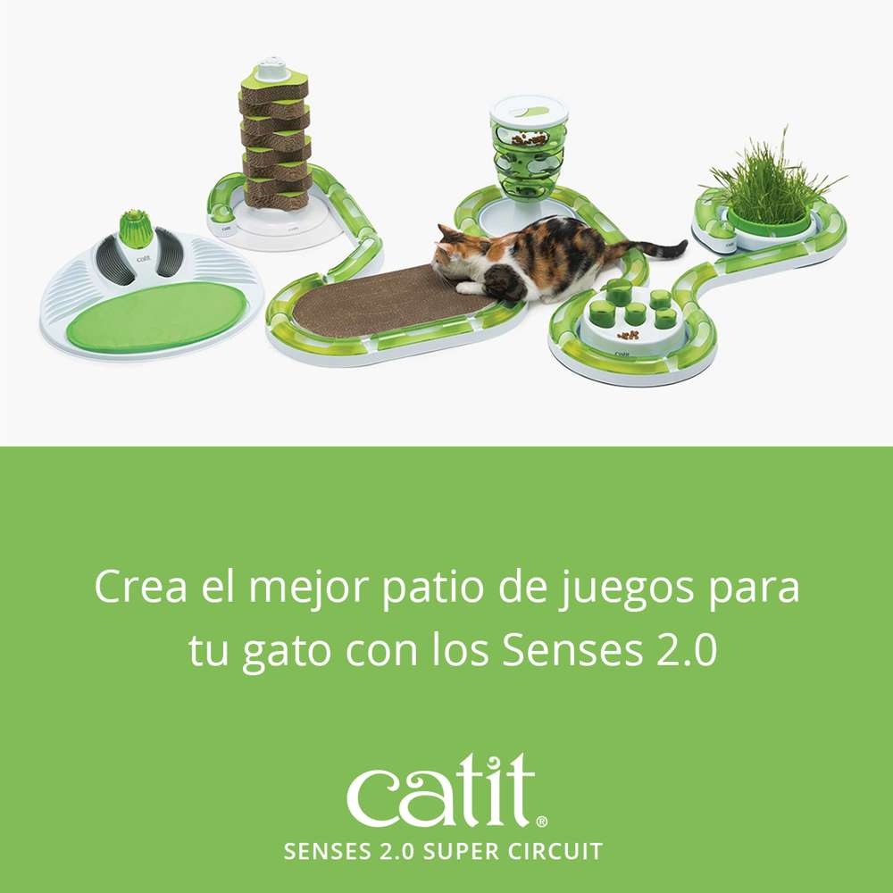 Circuitos con Pelota Catit Senses