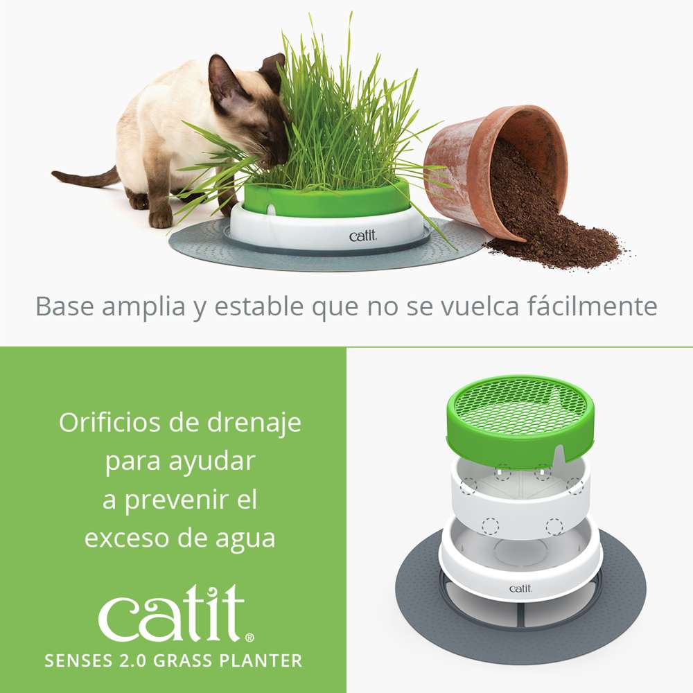 Senses Grass Planter