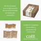 Senses Cat Grass Kit