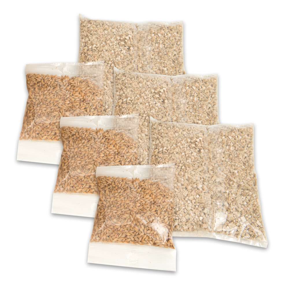 Senses Cat Grass Kit