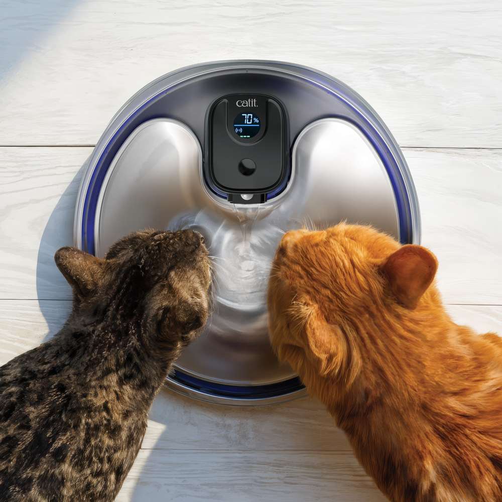 Dos gatos bebiendo de la Fuente PIXI UVC de acero inoxidable, sin cables
con pantalla LED superior.