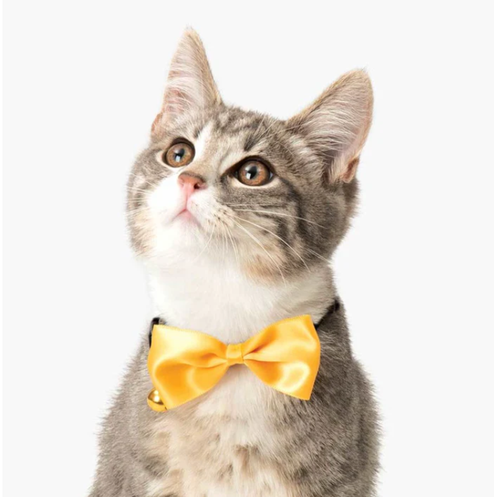 Collar con Pajarita para Gatos Catit