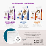Infografía de ingredientes frescos del pienso Catit Recipes Esterilizado Receta de Aves: hígado nutritivo, mezcla de aves altamente digeribles y superalimentos como arándanos. Destaca su fórmula sin cereales con 80% de proteína animal de calidad.
