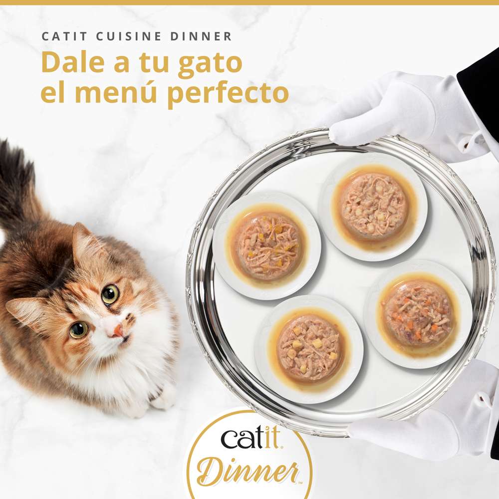 Comida húmeda Catit Cuisine Dinner servida en bandeja de plata a un gato que espera su menú.