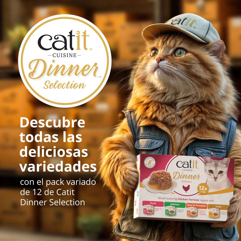 Pack variado de 12 latas de comida húmeda Catit Cuisine Dinner Selection presentado por un gato vestido de repartidor.