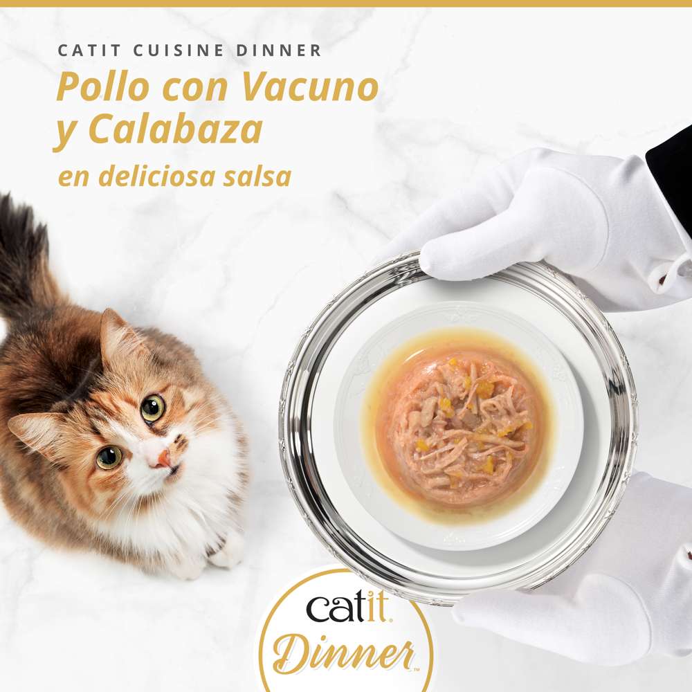 Comida húmeda Catit Cuisine Dinner de Pollo con Vacuno y Calabaza en salsa servida por un camarero.