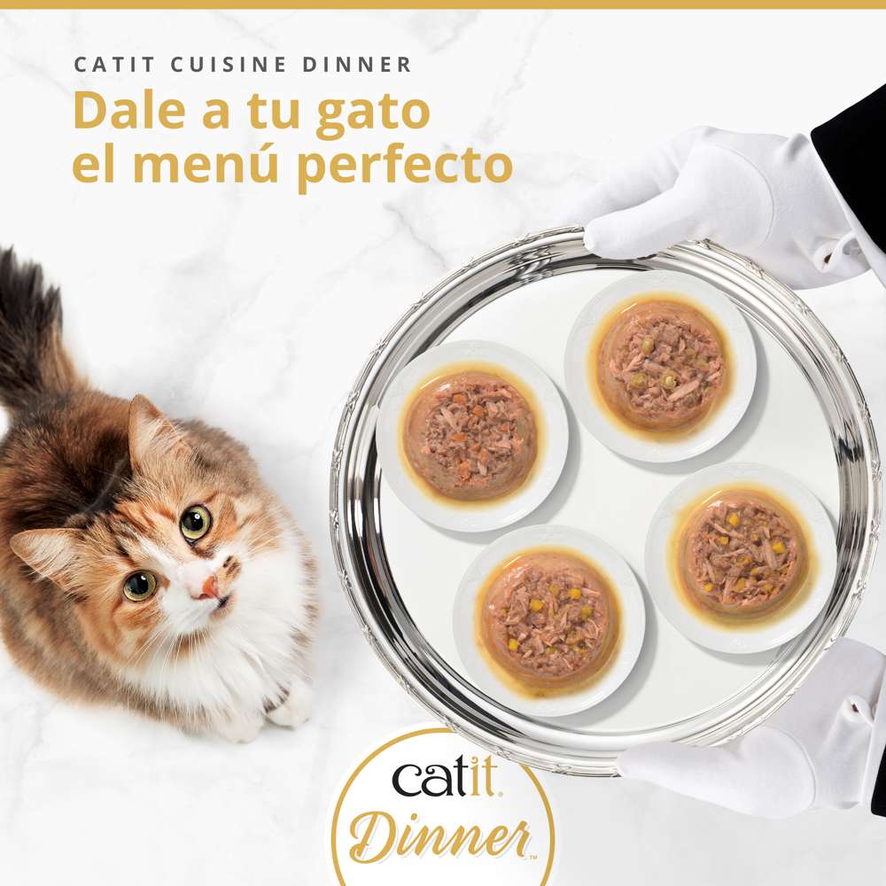 Gato mirando bandeja de plata con variedades de comida húmeda Catit Cuisine Dinner servida por mayordomo.