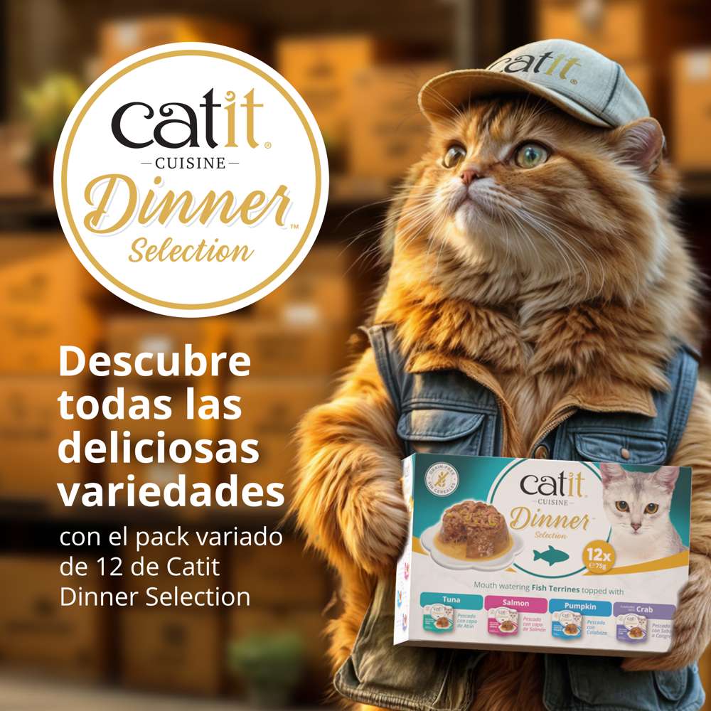 Gato repartidor sosteniendo el pack variado de 12 tarrinas de pescado Catit Cuisine Dinner Selection.