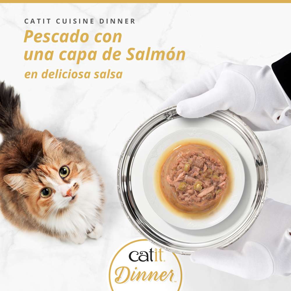 Comida húmeda Catit Cuisine Dinner de pescado y salmón en salsa servida en bandeja de plata a un gato.
