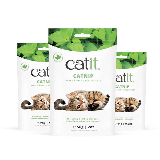 Catnip seco Catit