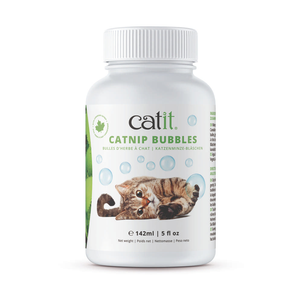 Catnip en Burbujas