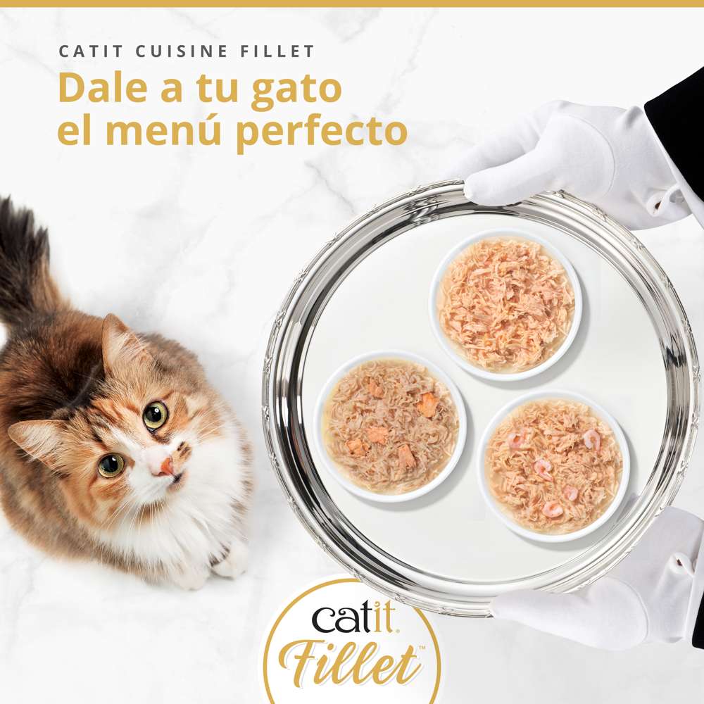 Gato mirando tres cuencos de comida Catit Cuisine Fillet servidos en bandeja, con filetes de pollo en caldo delicioso.