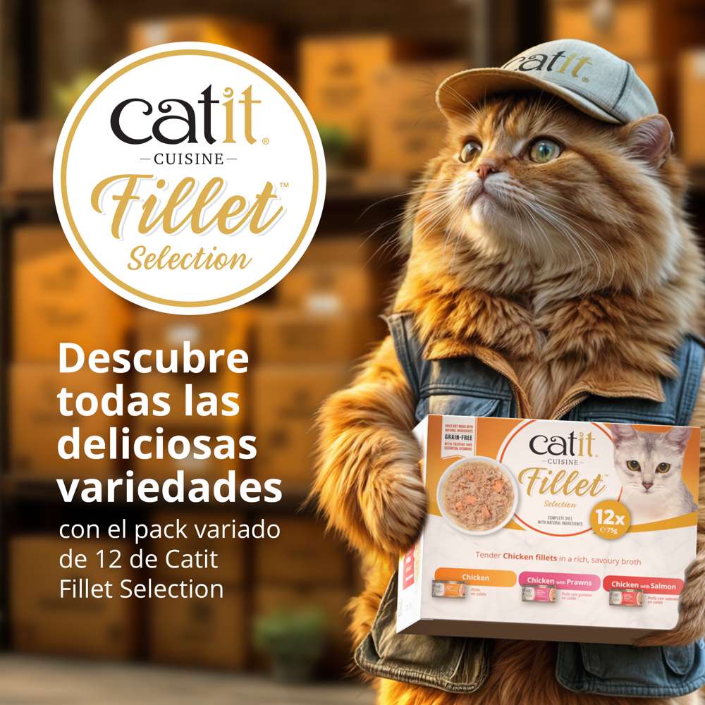 Gato repartidor con gorra y chaleco entregando el pack variado Catit Cuisine Fillet Selection de Pollo.