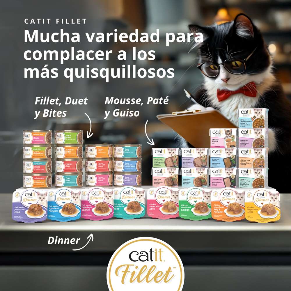 Gato con gafas revisando la gran variedad de comida húmeda Catit Cuisine: Mousse, paté, guiso y fillet para gatos exigentes.