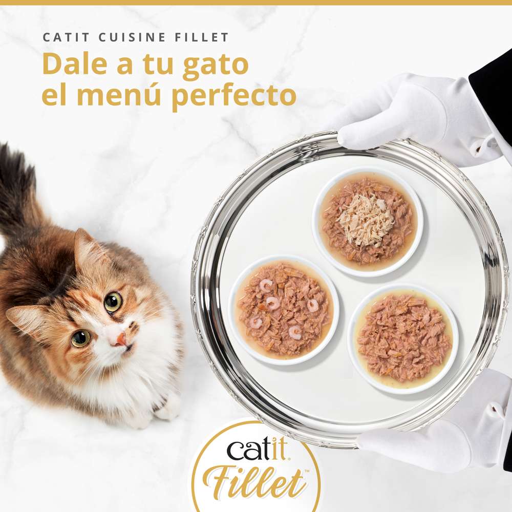 Gato mirando una bandeja servida con tres platos de comida húmeda natural Catit Cuisine Fillet, menú gourmet completo.
