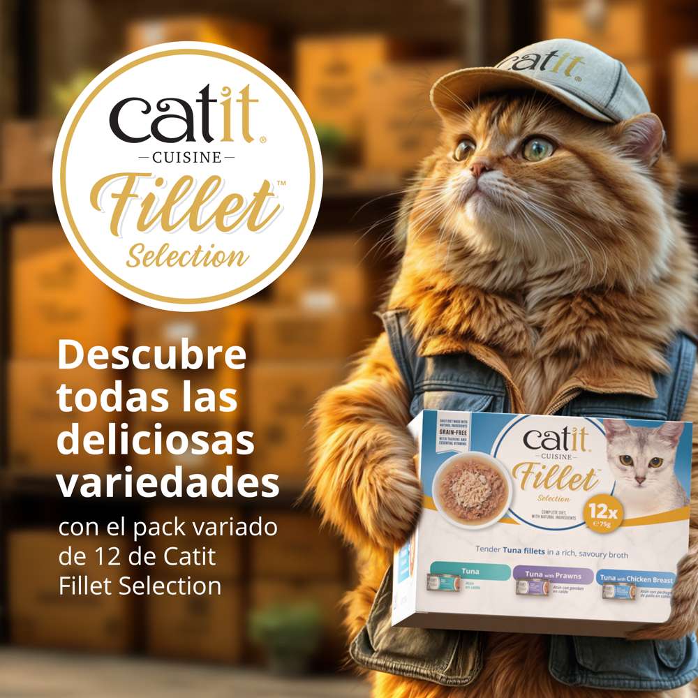 Gato repartidor con gorra y chaleco entregando el pack variado Catit Cuisine Fillet Selection de Atún.