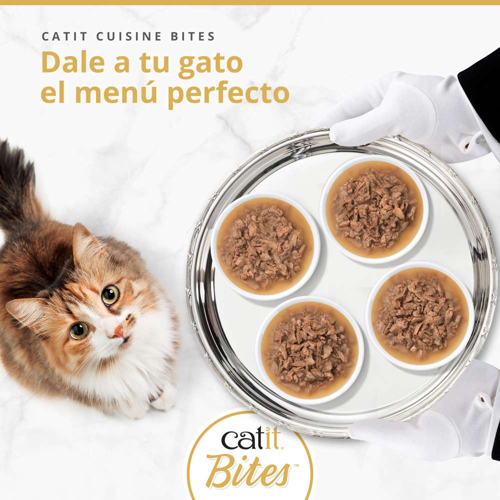 Gato esperando su menú: bandeja servida con cuatro variedades de comida húmeda Catit Cuisine Bites en salsa.