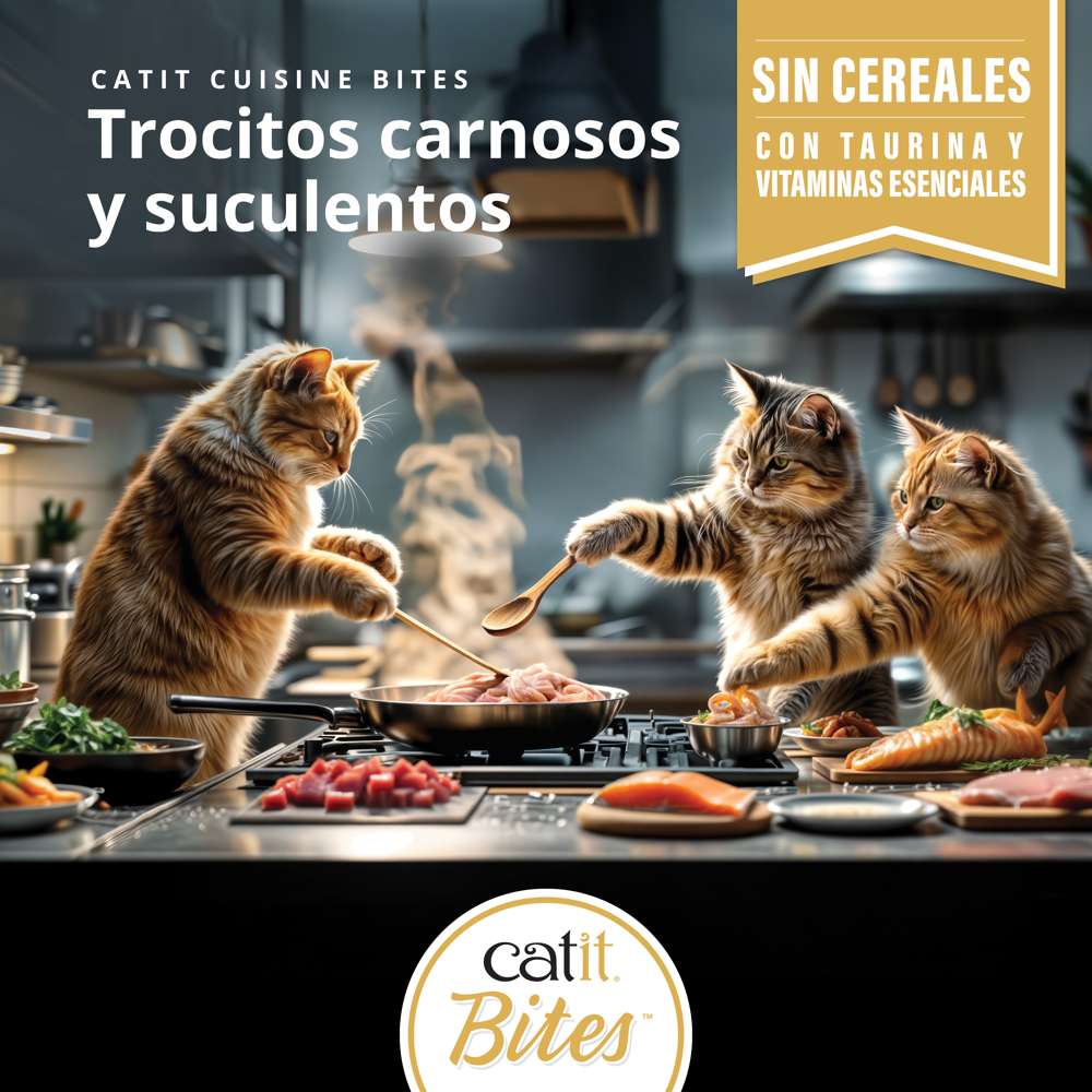Gatos cocinando trocitos carnosos de comida húmeda Catit Cuisine Bites sin cereales en una cocina.