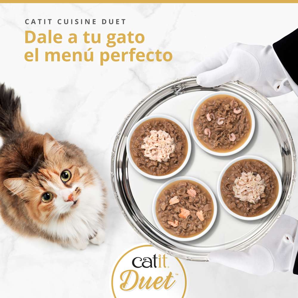 Gatito mirando cuatro cuencos de Catit Cuisine Duet con toppings premium variados en salsa, menú completo y equilibrado.

