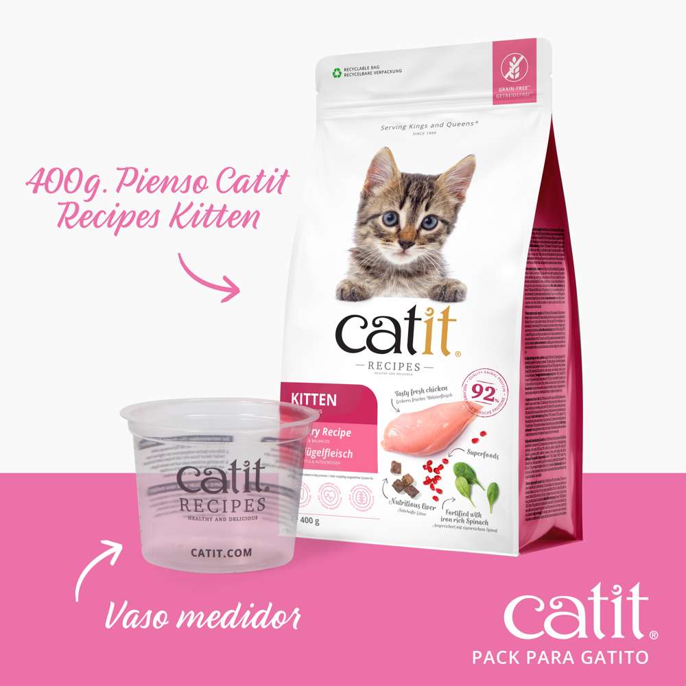 Pack para Gatitos Junior Catit
