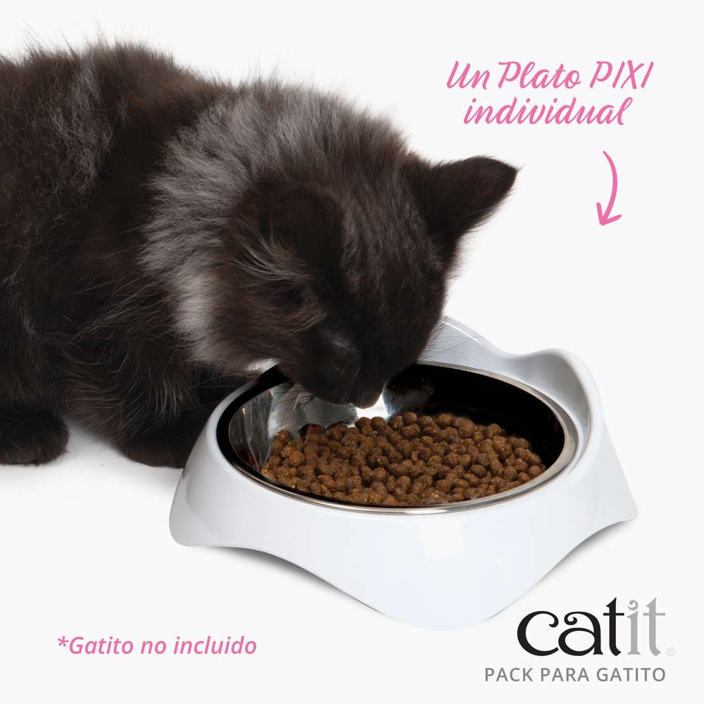 Pack para Gatitos Junior Catit