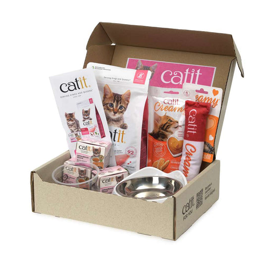 Pack para Gatitos Junior Catit
