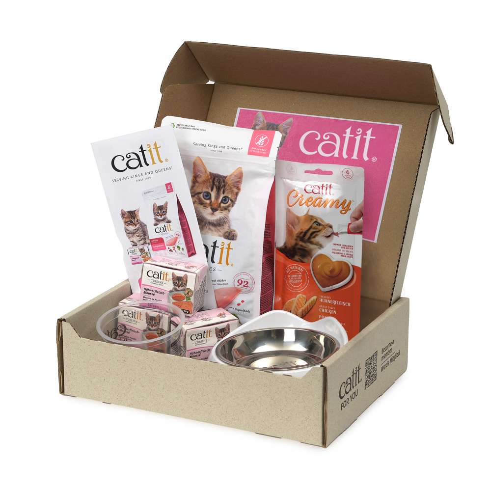 Pack para Gatitos Junior Catit