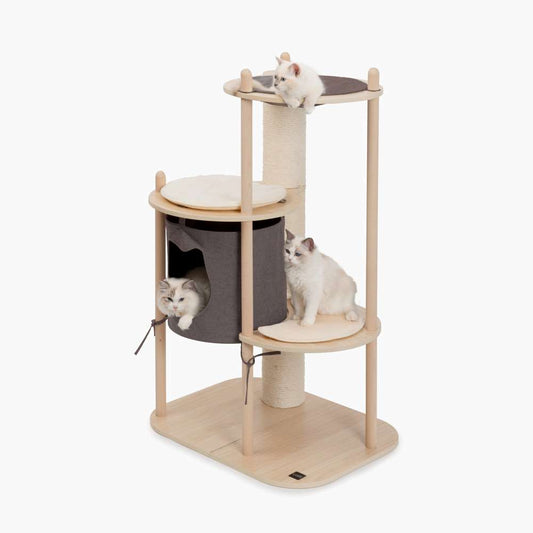 Vesper Treehouse Mediano