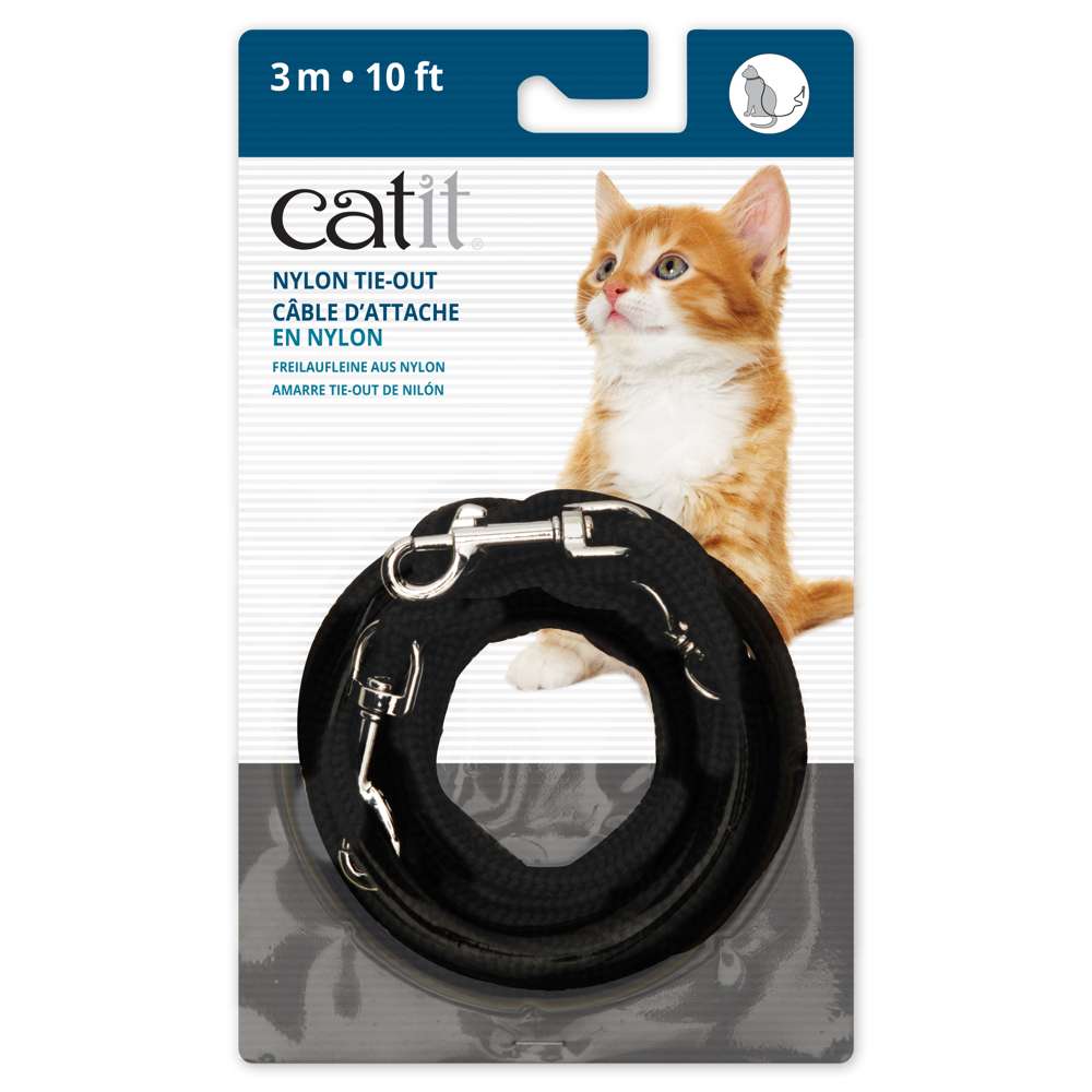 Catit Correa