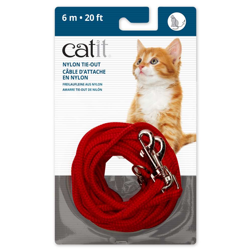 Catit Correa
