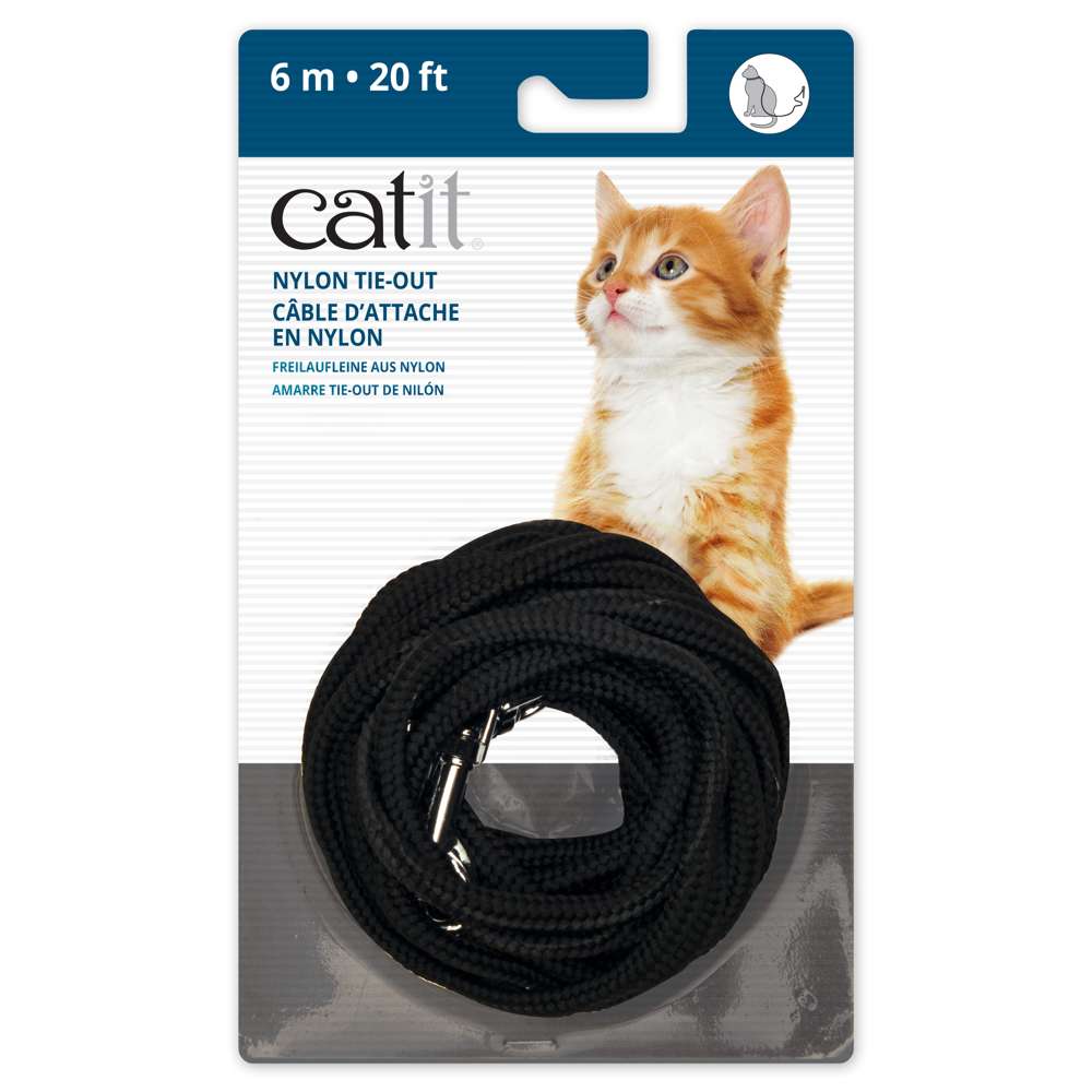 Catit Correa
