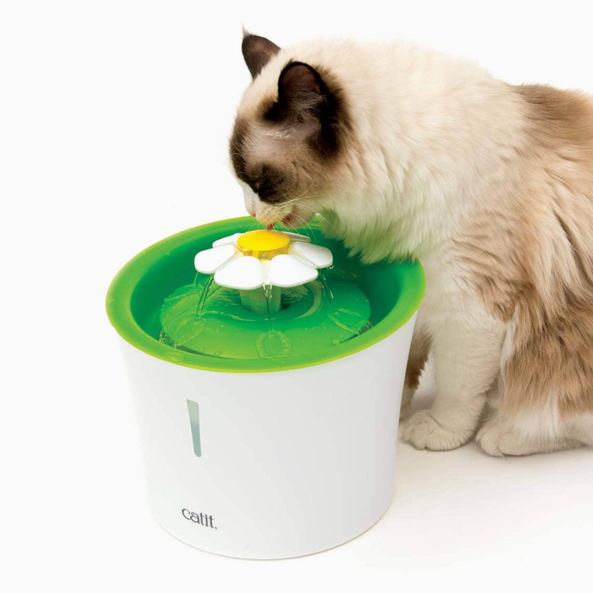 Fuentes Catit para gatos