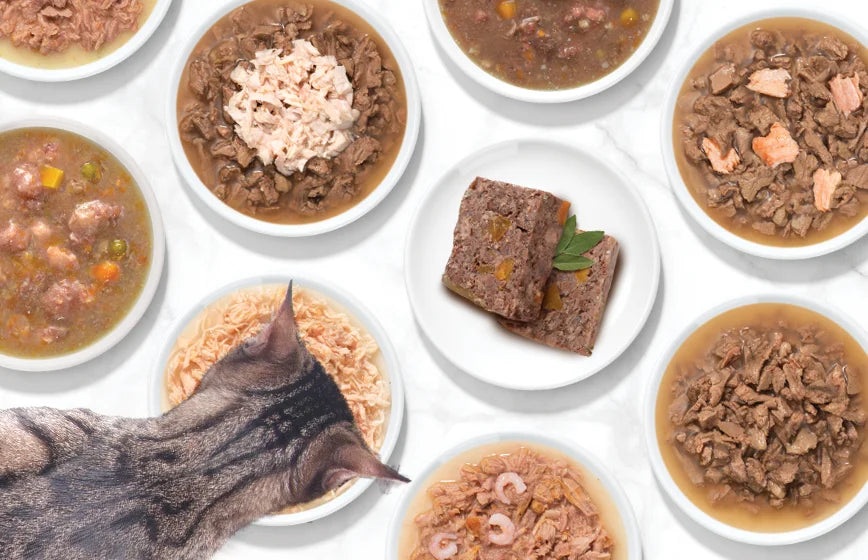 Comida húmeda para gatos Catit Cuisine en platos, un gato comiendo cuisine fillet. Banner mobile